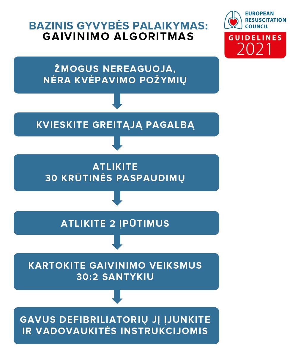 2 gaivinimo algoritmas 2