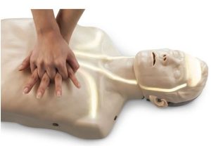 Suaugusiojo gaivinimo manekenas Gaivinimo manekenas "Brayden" su apšvietimu - nuoma