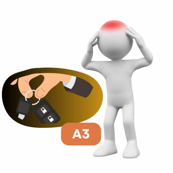 A3 – Vairavimo esant neblaiviam prevencijos programa 4 A3 – Vairavimo esant neblaiviam prevencijos programa