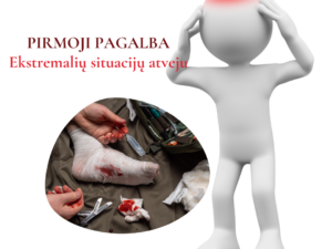 Ekstremalių situacijų atveju 2025.01
